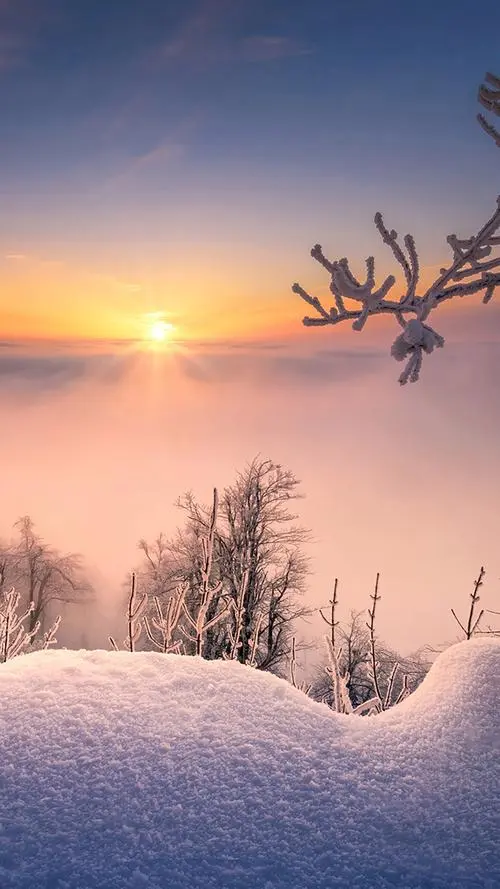 自定义全部字段