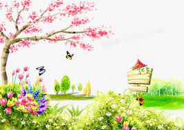 普通商品没参加任何活动-视频+图片+所有信息齐全